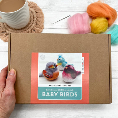 Needle Felting Kit, Baby Birds
