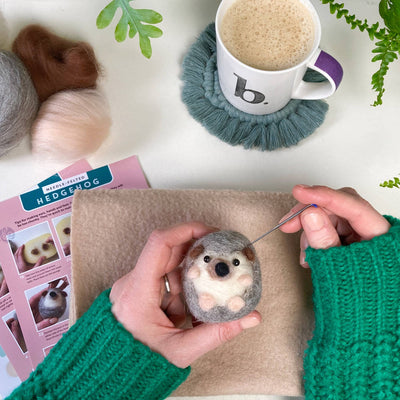 Needle Felting Kit, Hedgehog, Beginners, Creative Gift Idea