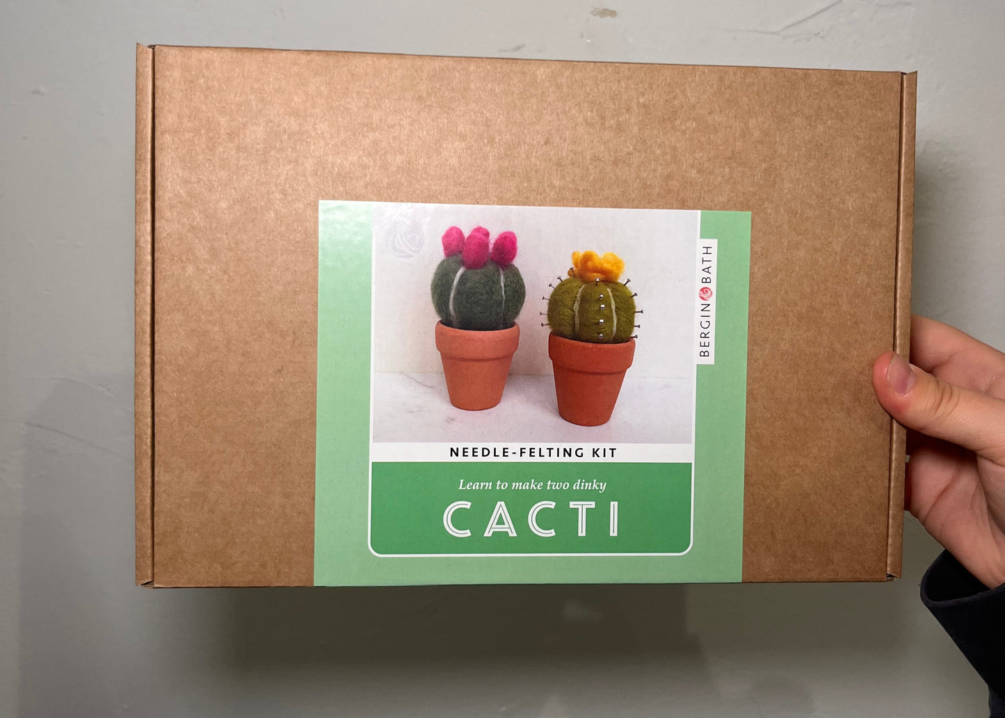 Needle felting kit - Cacti