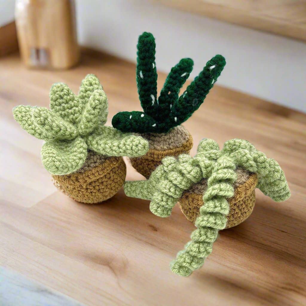 succulent merchandise Amigurumi Kit | Crochet | DIY | Succulent