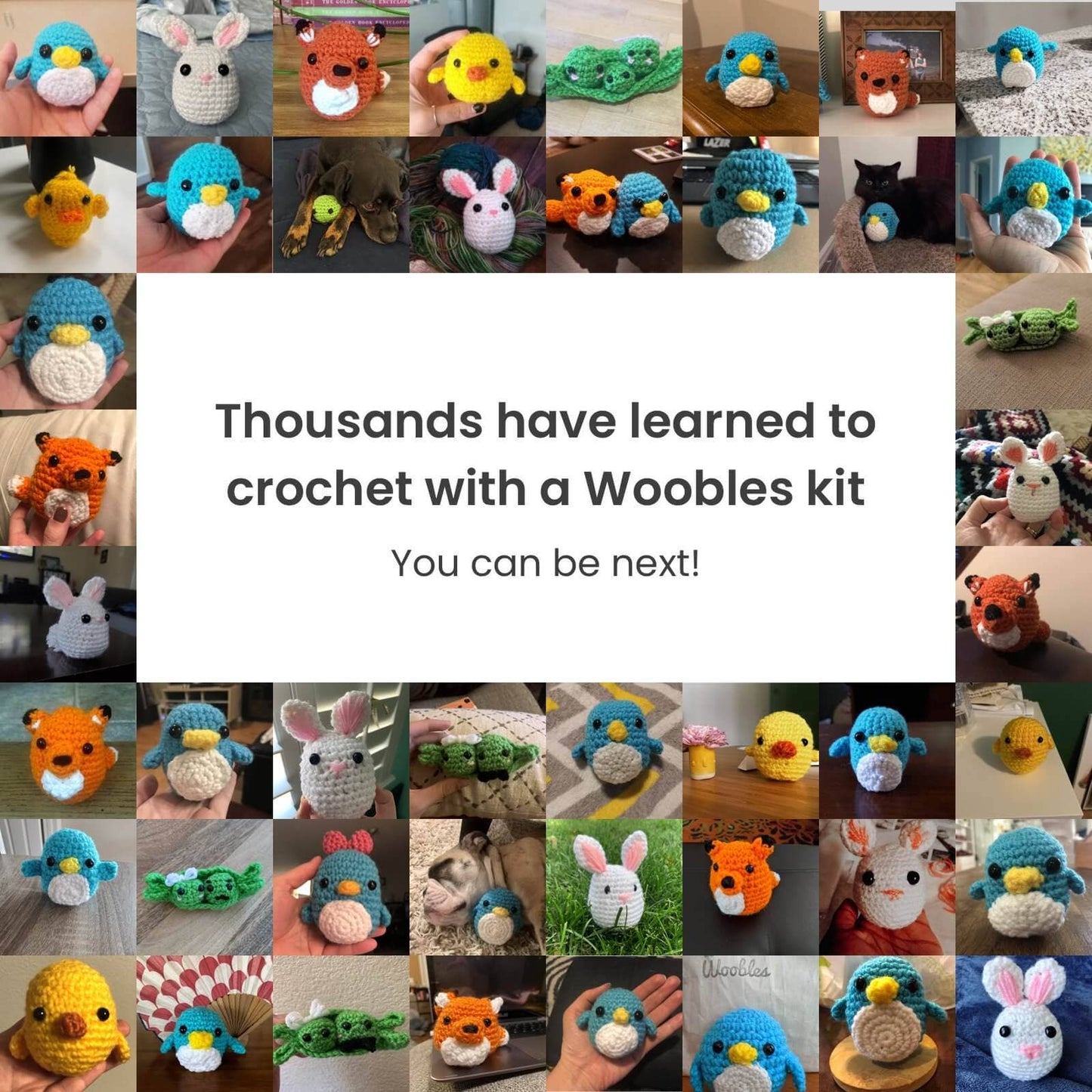 Woobles Fred the Dinosaur Beginner Crochet Kit
