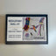 Hummingbird — Modern Needlepoint Kit (Small Design)