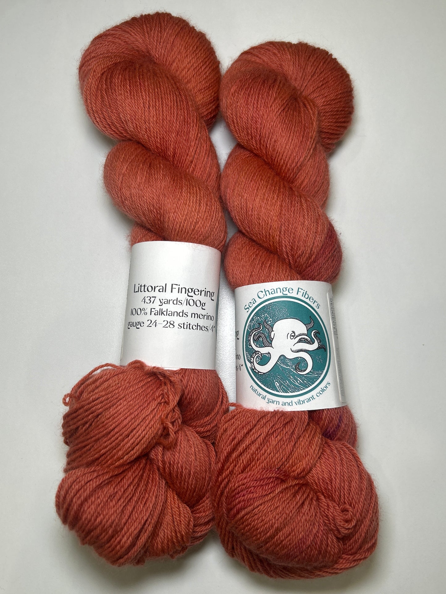 Sea Change Fibers Littoral Fingering ✧ 100% Falklands Merino