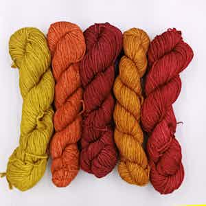 Malabrigo Caprino  - 5 Skein Set