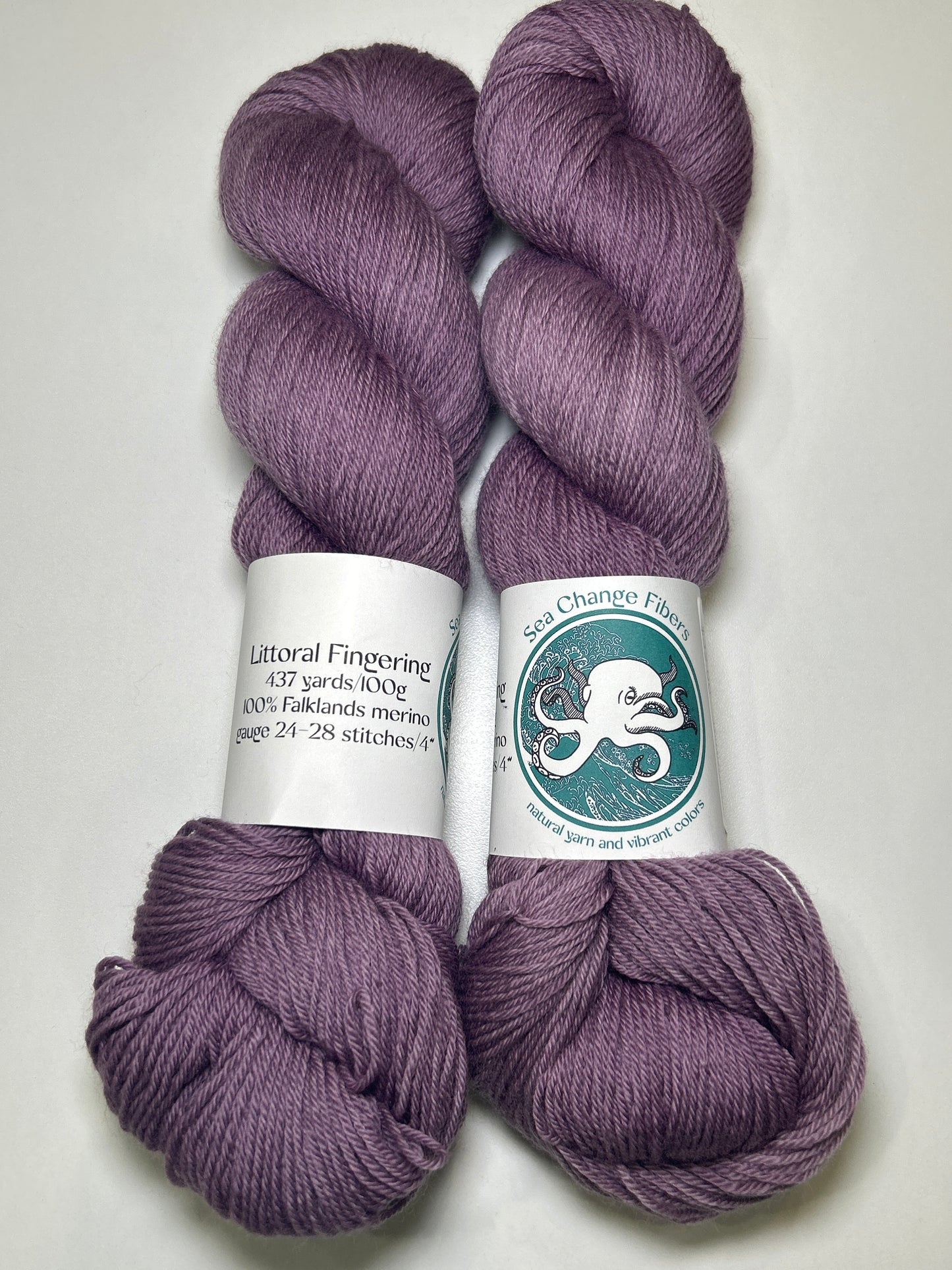 Sea Change Fibers Littoral Fingering ✧ 100% Falklands Merino