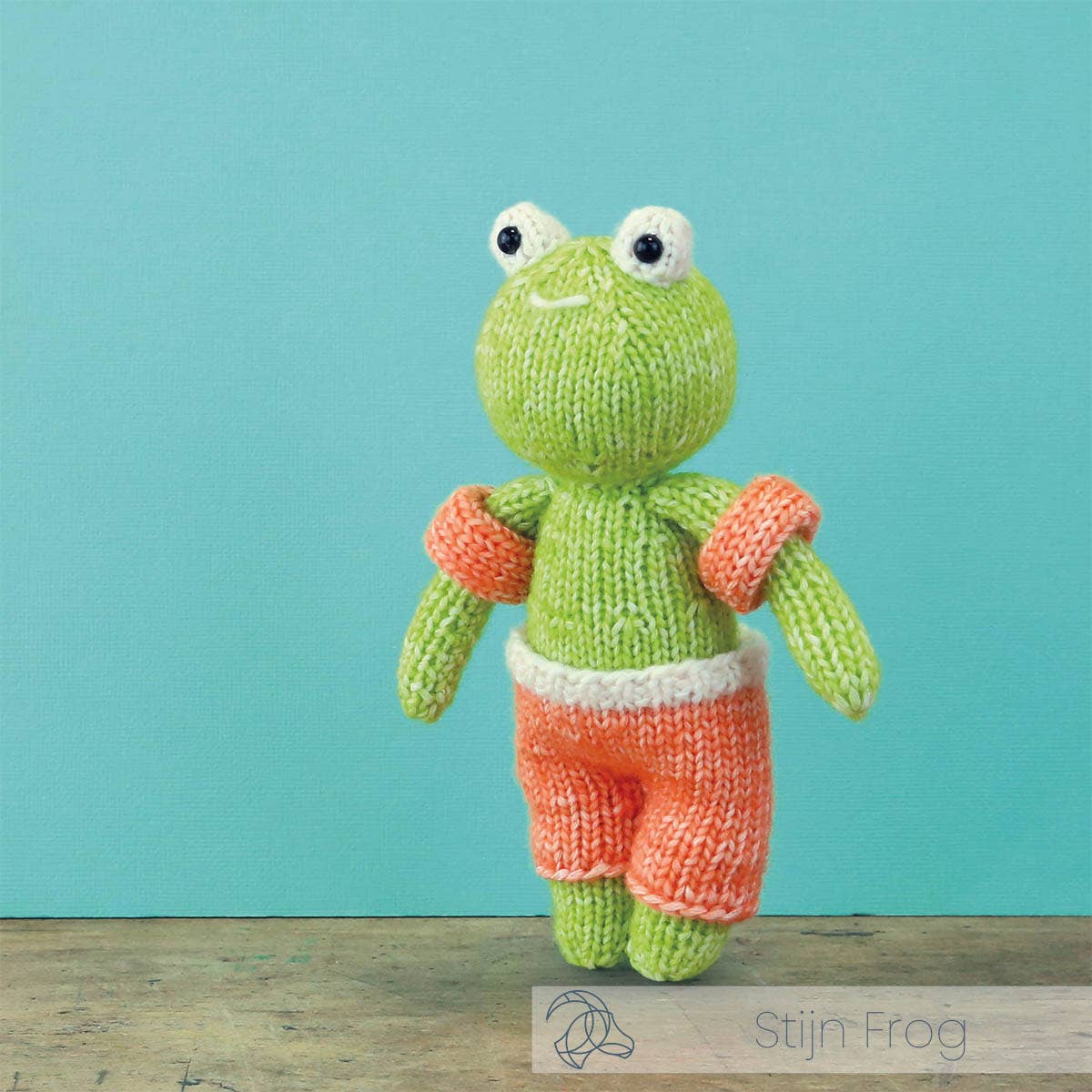Stijn Frog Knitting Kit