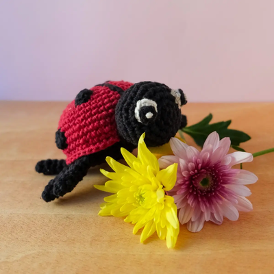 DIY Crochet Kit Ladybird Daisy
