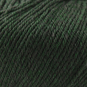 Cascade 220 Superwash Worsted Weight