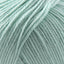 Cascade 220 Superwash Worsted Weight