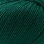 Cascade 220 Superwash Worsted Weight