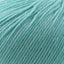 Cascade 220 Superwash Worsted Weight