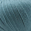 Cascade 220 Superwash Worsted Weight
