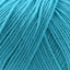 Cascade 220 Superwash Worsted Weight