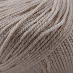 Cascade 220 Superwash Worsted Weight