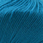 Cascade 220 Superwash Worsted Weight