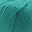 Cascade 220 Superwash Worsted Weight