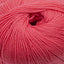 Cascade 220 Superwash Worsted Weight