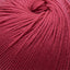 Cascade 220 Superwash Worsted Weight