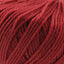 Cascade 220 Superwash Worsted Weight