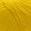 Cascade 220 Superwash Worsted Weight