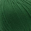 Cascade 220 Superwash Worsted Weight