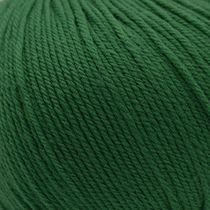 Cascade 220 Superwash Worsted Weight