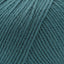 Cascade 220 Superwash Worsted Weight