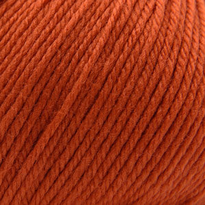 Cascade 220 Superwash Worsted Weight