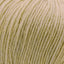 Cascade 220 Superwash Worsted Weight