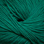 Cascade 220 Superwash Worsted Weight