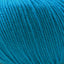 Cascade 220 Superwash Worsted Weight