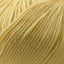 Cascade 220 Superwash Worsted Weight