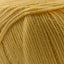Cascade 220 Superwash Worsted Weight