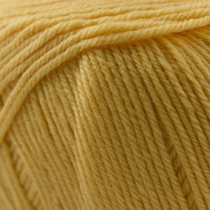 Cascade 220 Superwash Worsted Weight