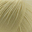 Cascade 220 Superwash Worsted Weight