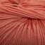 Cascade 220 Superwash Worsted Weight