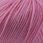 Cascade 220 Superwash Worsted Weight
