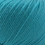 Cascade 220 Superwash Worsted Weight