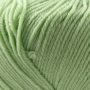 Cascade 220 Superwash Worsted Weight