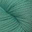 Cascade 220 Superwash Aran