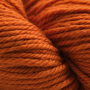 Cascade 220 Superwash Aran