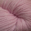 Cascade 220 Superwash Aran