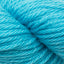 Cascade 220 Superwash Sport (DK Weight)