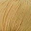 Cascade 220 Superwash Worsted Weight