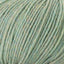 Cascade 220 Superwash Worsted Weight