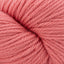 Cascade 220 Superwash Aran