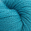 Cascade 220 Superwash Fingering