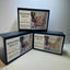 Butterfly — Modern Needlepoint Kit (Small Design)