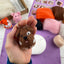 Needle Felting Kit - Mini Pets 1. Make THREE felt animals.