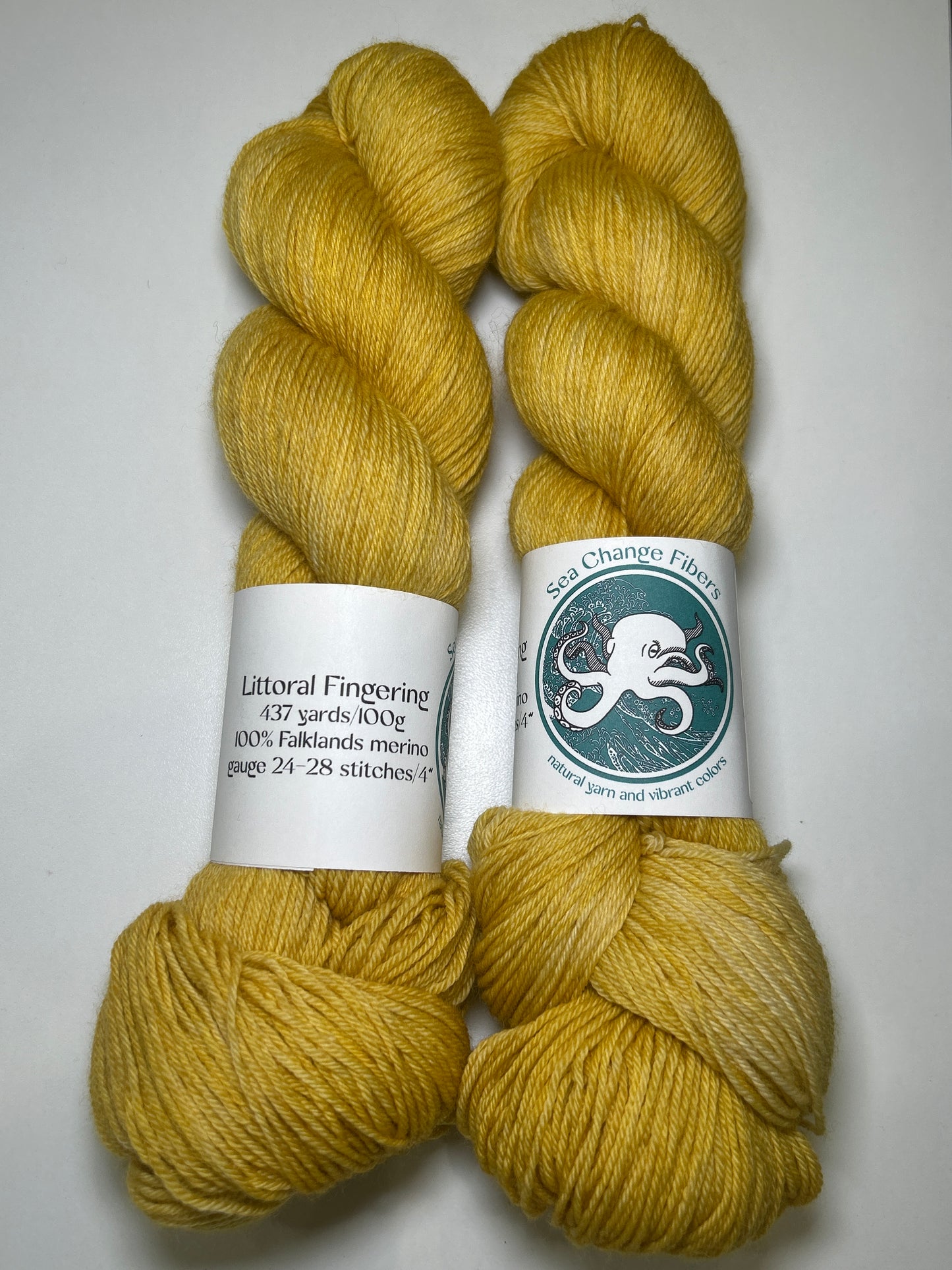 Sea Change Fibers Littoral Fingering ✧ 100% Falklands Merino